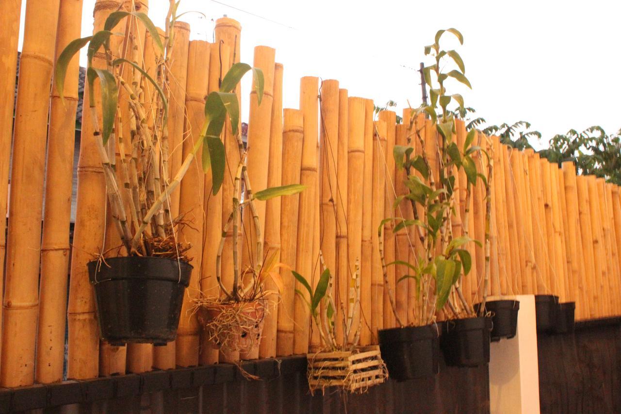 The Wayang Homestay Yogyakarta Exterior photo